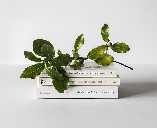 书本包装<strong>设计</strong>